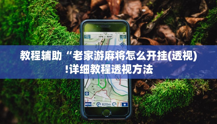 教程辅助“老家游麻将怎么开挂(透视)!详细教程透视方法