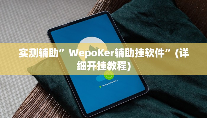 实测辅助”WepoKer辅助挂软件”(详细开挂教程)