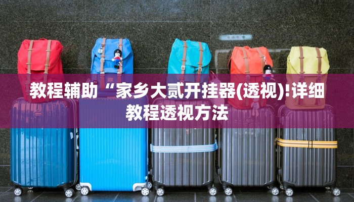 教程辅助“家乡大贰开挂器(透视)!详细教程透视方法
