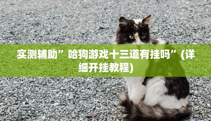 实测辅助”哈狗游戏十三道有挂吗”(详细开挂教程)