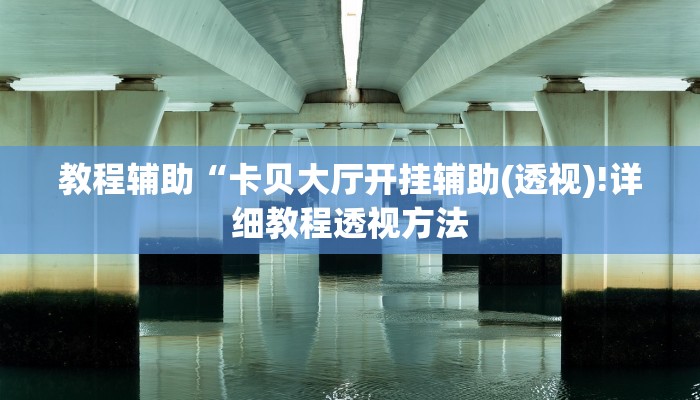 教程辅助“卡贝大厅开挂辅助(透视)!详细教程透视方法