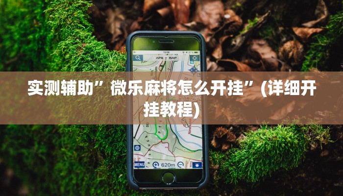 实测辅助”微乐麻将怎么开挂”(详细开挂教程)