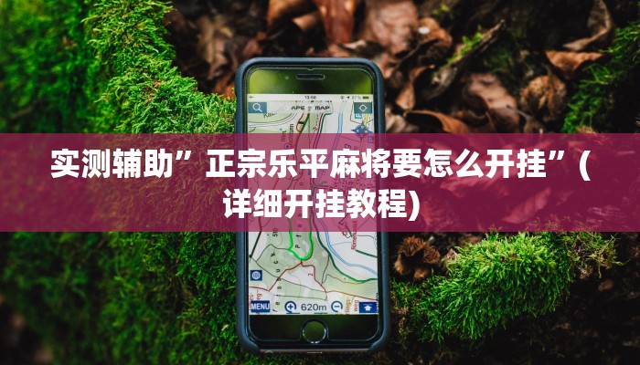 实测辅助”正宗乐平麻将要怎么开挂”(详细开挂教程)