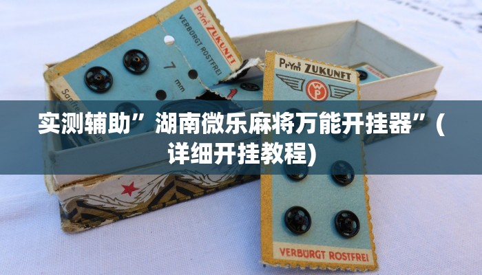 实测辅助”湖南微乐麻将万能开挂器”(详细开挂教程)