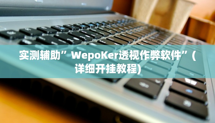 实测辅助”WepoKer透视作弊软件”(详细开挂教程)