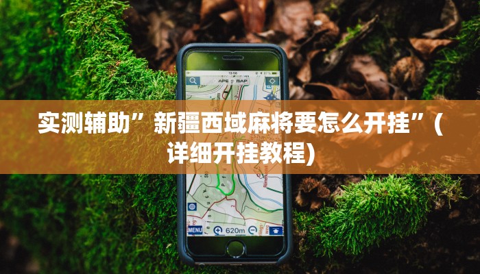 实测辅助”新疆西域麻将要怎么开挂”(详细开挂教程)
