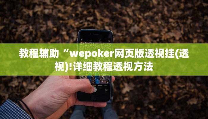 教程辅助“wepoker网页版透视挂(透视)!详细教程透视方法