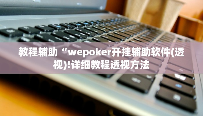 教程辅助“wepoker开挂辅助软件(透视)!详细教程透视方法