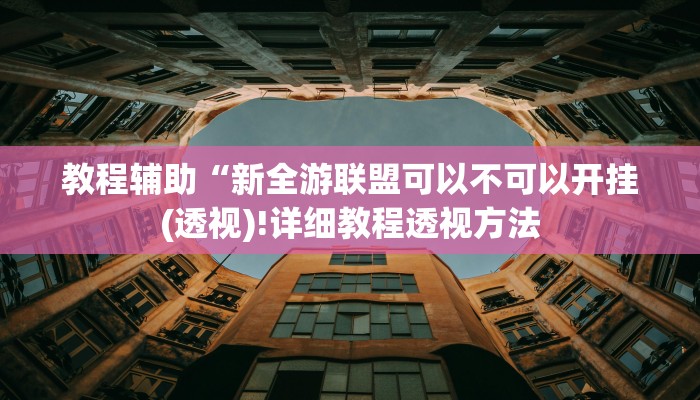 教程辅助“新全游联盟可以不可以开挂(透视)!详细教程透视方法