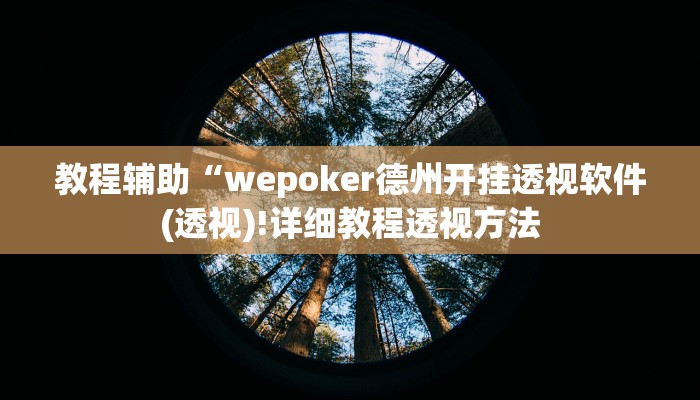 教程辅助“wepoker德州开挂透视软件(透视)!详细教程透视方法
