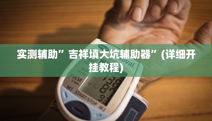 实测辅助”吉祥填大坑辅助器”(详细开挂教程)