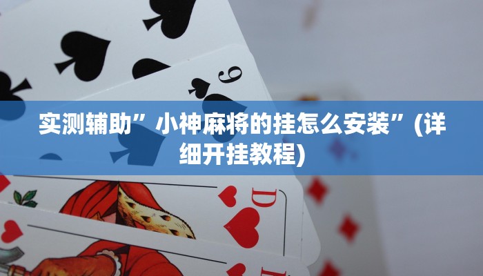 教程辅助“乐清十三水开挂教程(透视)!详细教程透视方法