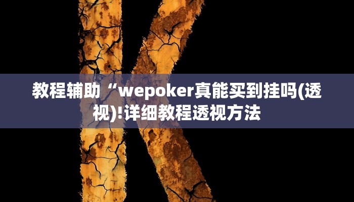 教程辅助“wepoker真能买到挂吗(透视)!详细教程透视方法