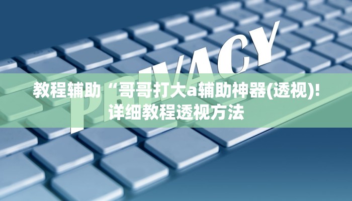 教程辅助“哥哥打大a辅助神器(透视)!详细教程透视方法