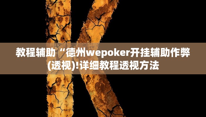 教程辅助“德州wepoker开挂辅助作弊(透视)!详细教程透视方法