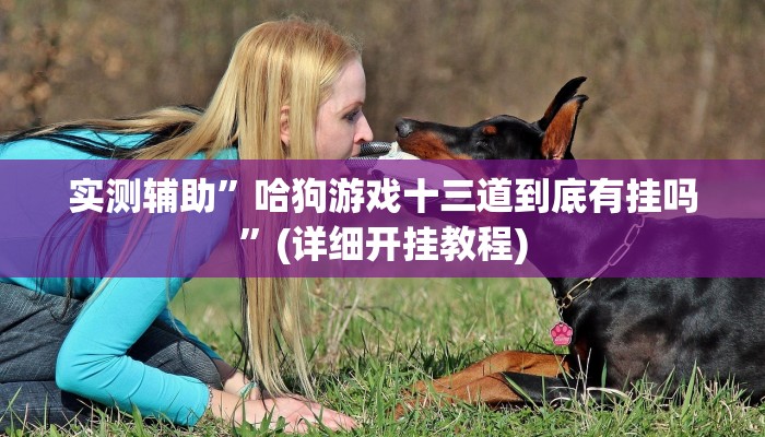 实测辅助”哈狗游戏十三道到底有挂吗”(详细开挂教程)