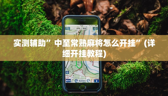 实测辅助”中至常熟麻将怎么开挂”(详细开挂教程)