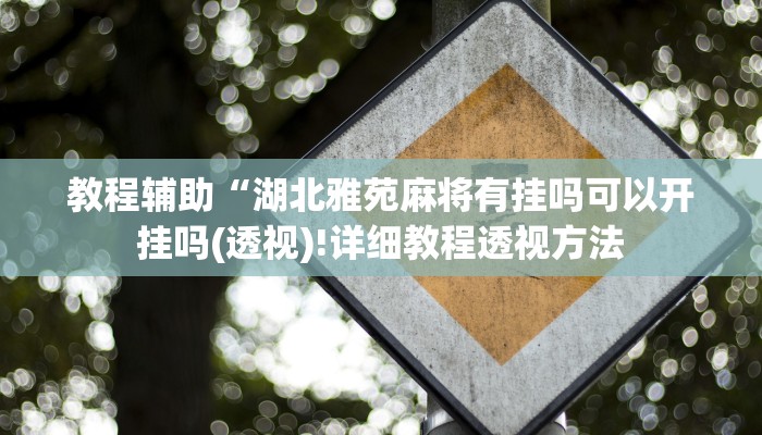 教程辅助“湖北雅苑麻将有挂吗可以开挂吗(透视)!详细教程透视方法