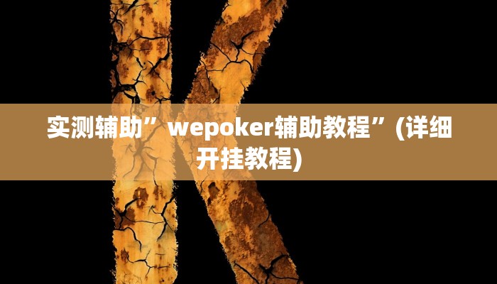 实测辅助”wepoker辅助教程”(详细开挂教程)