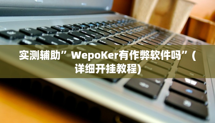 实测辅助”WepoKer有作弊软件吗”(详细开挂教程)
