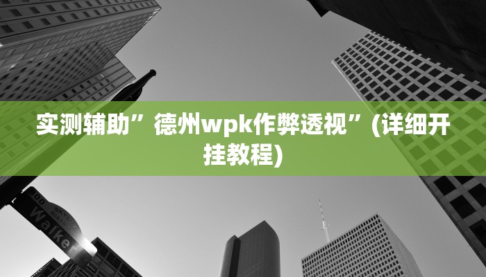 实测辅助”德州wpk作弊透视”(详细开挂教程)