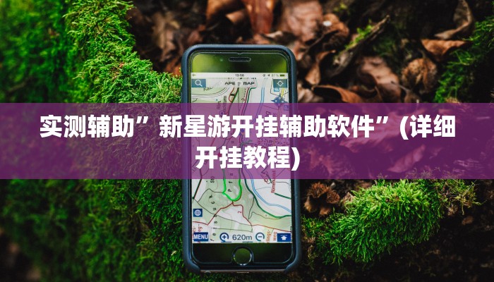 实测辅助”新星游开挂辅助软件”(详细开挂教程)