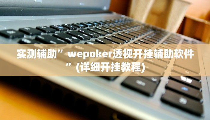 实测辅助”wepoker透视开挂辅助软件”(详细开挂教程)