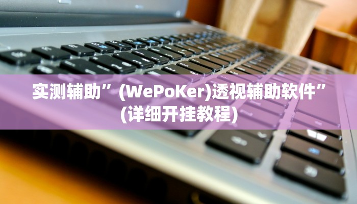 辅助神器“沪州大贰开挂神器”详细开挂教程