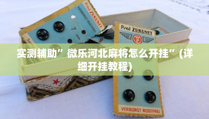 实测辅助”微乐河北麻将怎么开挂”(详细开挂教程)