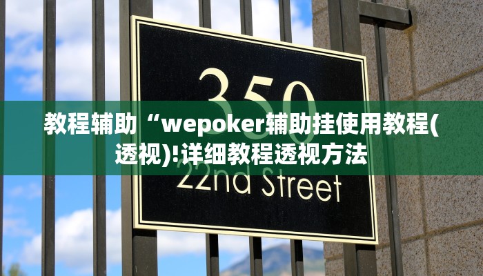 教程辅助“wepoker辅助挂使用教程(透视)!详细教程透视方法