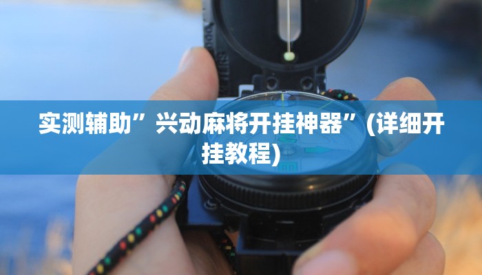 实测辅助”兴动麻将开挂神器”(详细开挂教程)