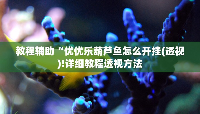 教程辅助“优优乐葫芦鱼怎么开挂(透视)!详细教程透视方法