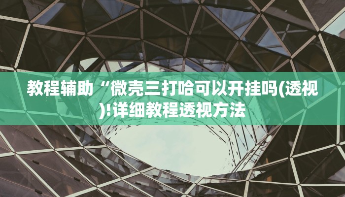 教程辅助“微壳三打哈可以开挂吗(透视)!详细教程透视方法