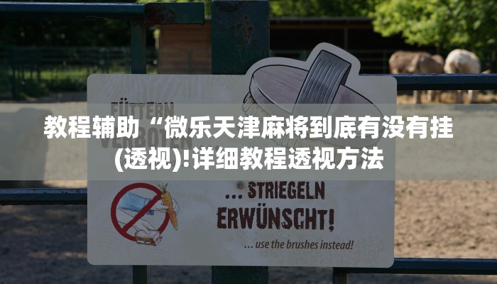 教程辅助“微乐天津麻将到底有没有挂(透视)!详细教程透视方法