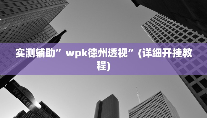 实测辅助”wpk德州透视”(详细开挂教程)