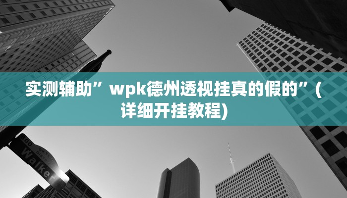 实测辅助”wpk德州透视挂真的假的”(详细开挂教程)