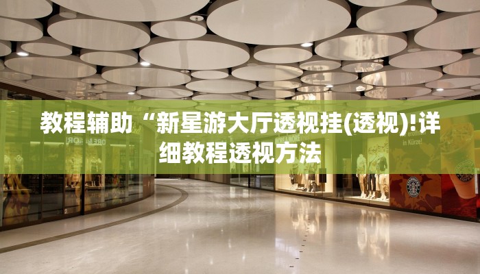 教程辅助“新星游大厅透视挂(透视)!详细教程透视方法