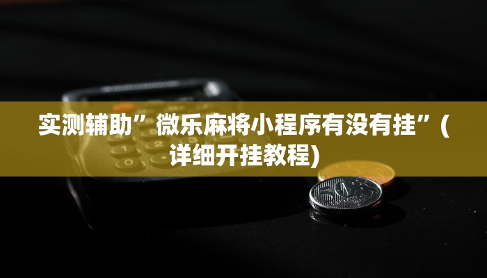 实测辅助”微乐麻将小程序有没有挂”(详细开挂教程)