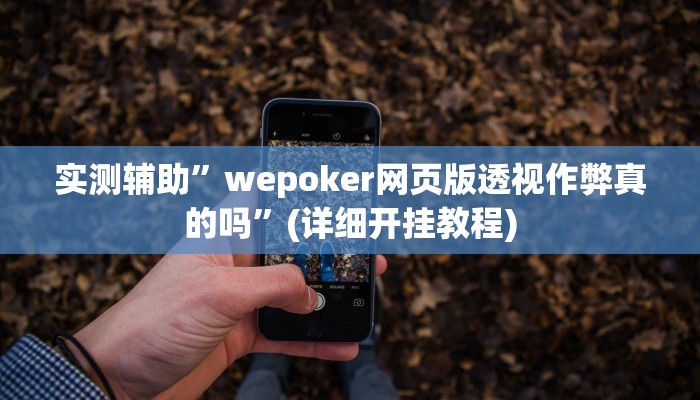 实测辅助”wepoker网页版透视作弊真的吗”(详细开挂教程)