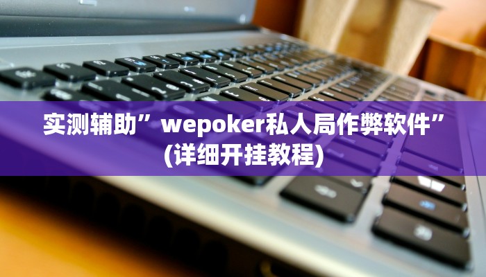 实测辅助”wepoker私人局作弊软件”(详细开挂教程)