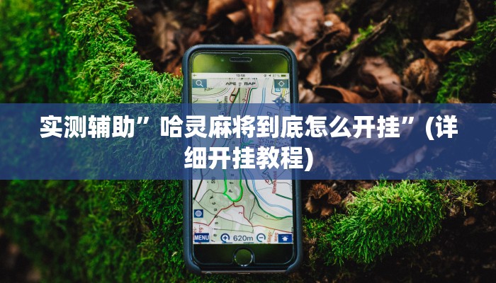 实测辅助”哈灵麻将到底怎么开挂”(详细开挂教程)