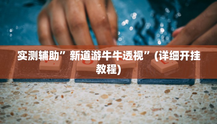 实测辅助”新道游牛牛透视”(详细开挂教程)