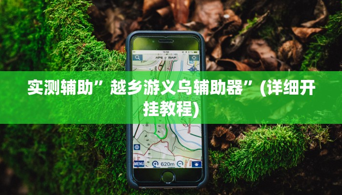 实测辅助”越乡游义乌辅助器”(详细开挂教程)
