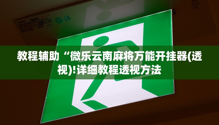 教程辅助“微乐云南麻将万能开挂器(透视)!详细教程透视方法