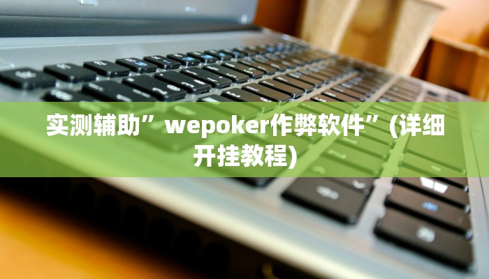 实测辅助”wepoker作弊软件”(详细开挂教程)