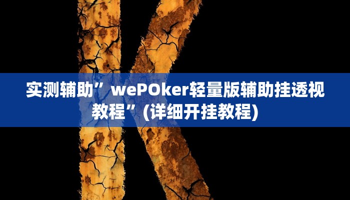 实测辅助”wePOker轻量版辅助挂透视教程”(详细开挂教程)