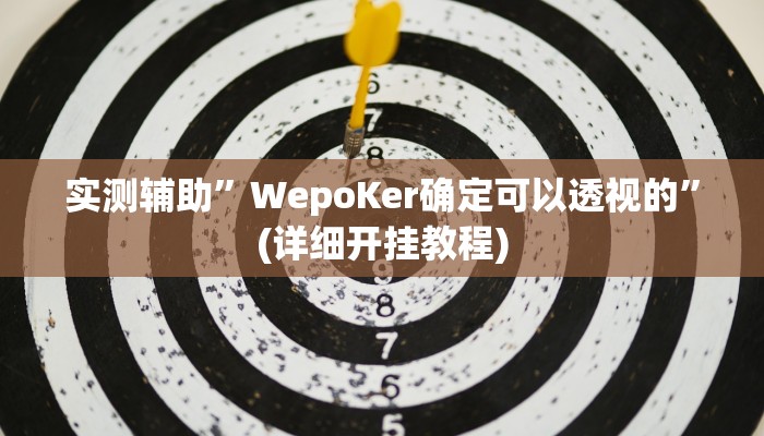 实测辅助”WepoKer确定可以透视的”(详细开挂教程)