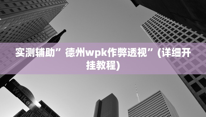 实测辅助”德州wpk作弊透视”(详细开挂教程)