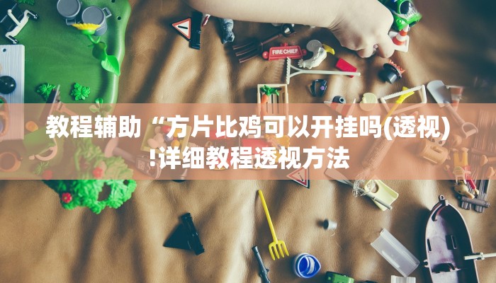 教程辅助“方片比鸡可以开挂吗(透视)!详细教程透视方法