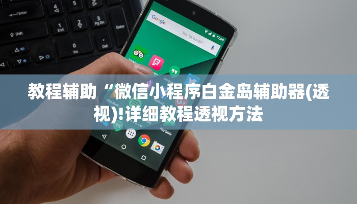 教程辅助“微信小程序白金岛辅助器(透视)!详细教程透视方法